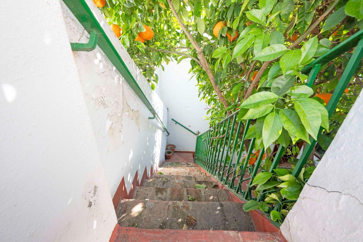 Adosado en Venta en C. Paco Camino - 26