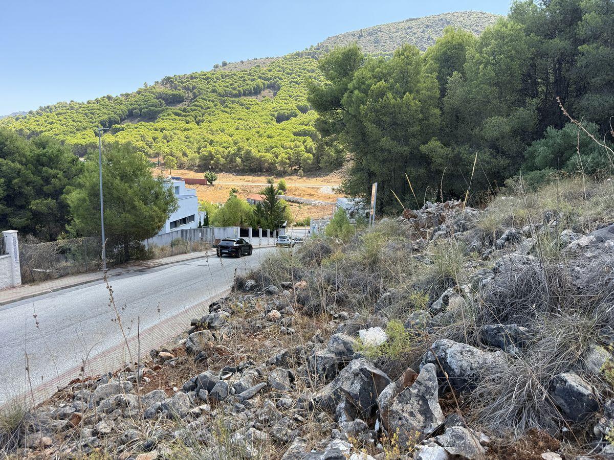 Parcela en Venta en Calle Cañete La Real - 4