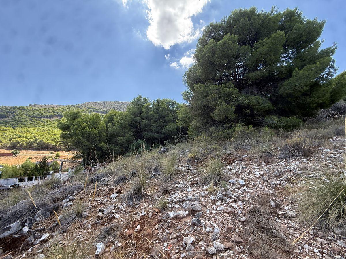 Parcela en Venta en Calle Cañete La Real - 7