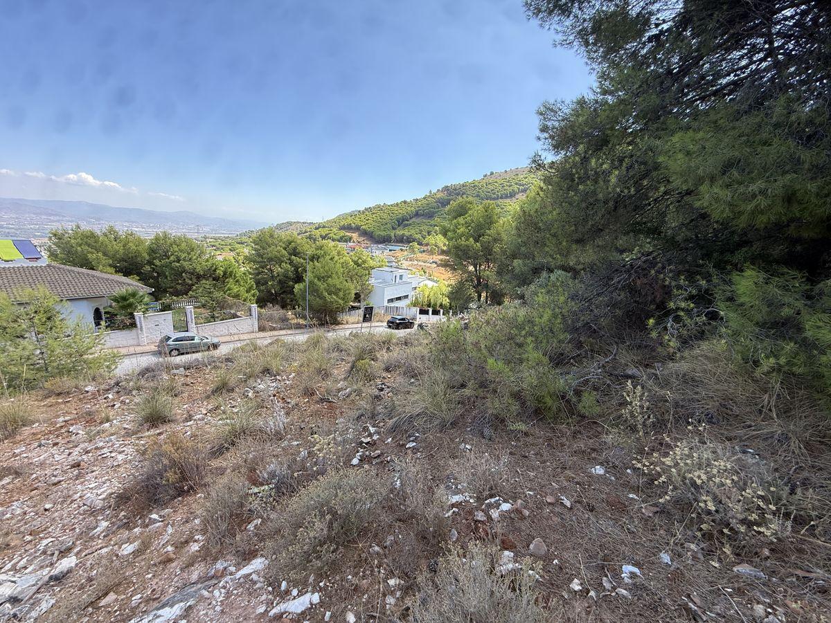 Parcela en Venta en Calle Cañete La Real - 10