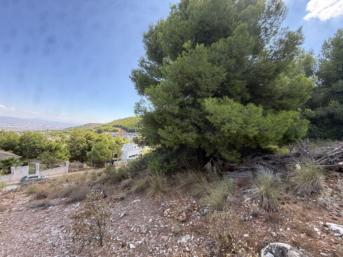 Parcela en Venta en Calle Cañete La Real - 11