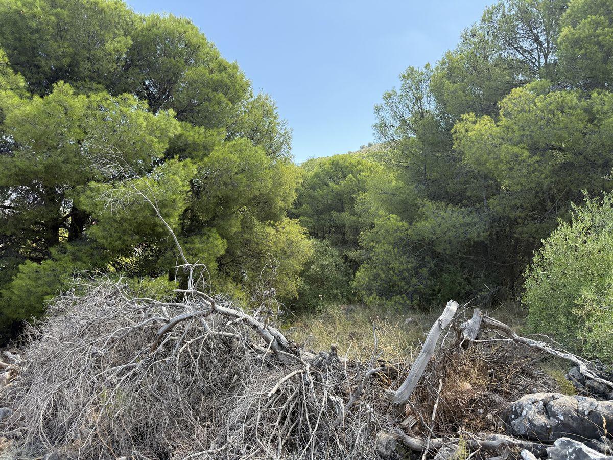 Parcela en Venta en Calle Cañete La Real - 14