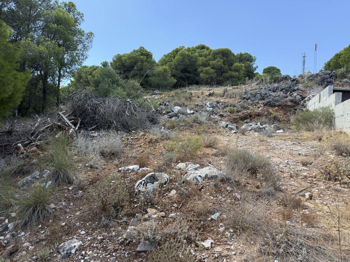Parcela en Venta en Calle Cañete La Real - 17