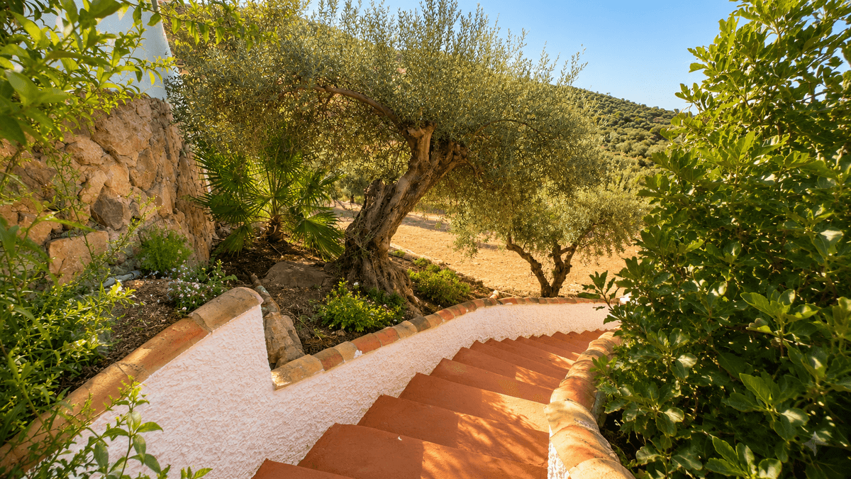 Casa Rústica en Venta en Diseminado R31 - 28