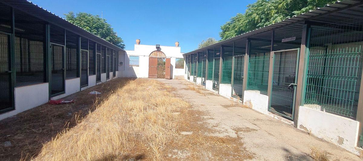 Casa en Venta en Urbanización Torrepalma - 10