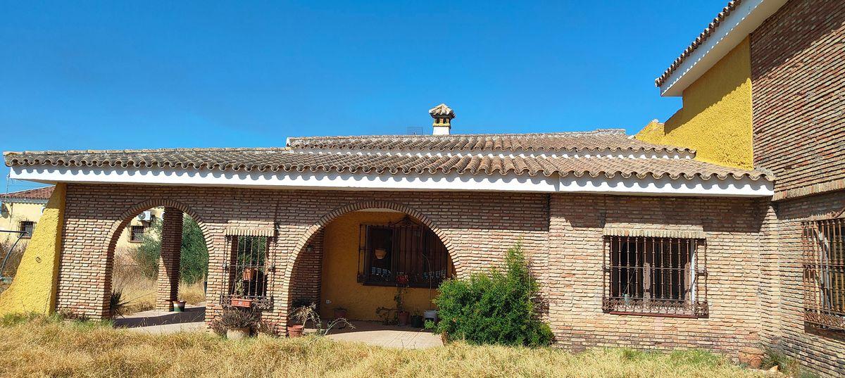 Casa en Venta en Urbanización Torrepalma - 8