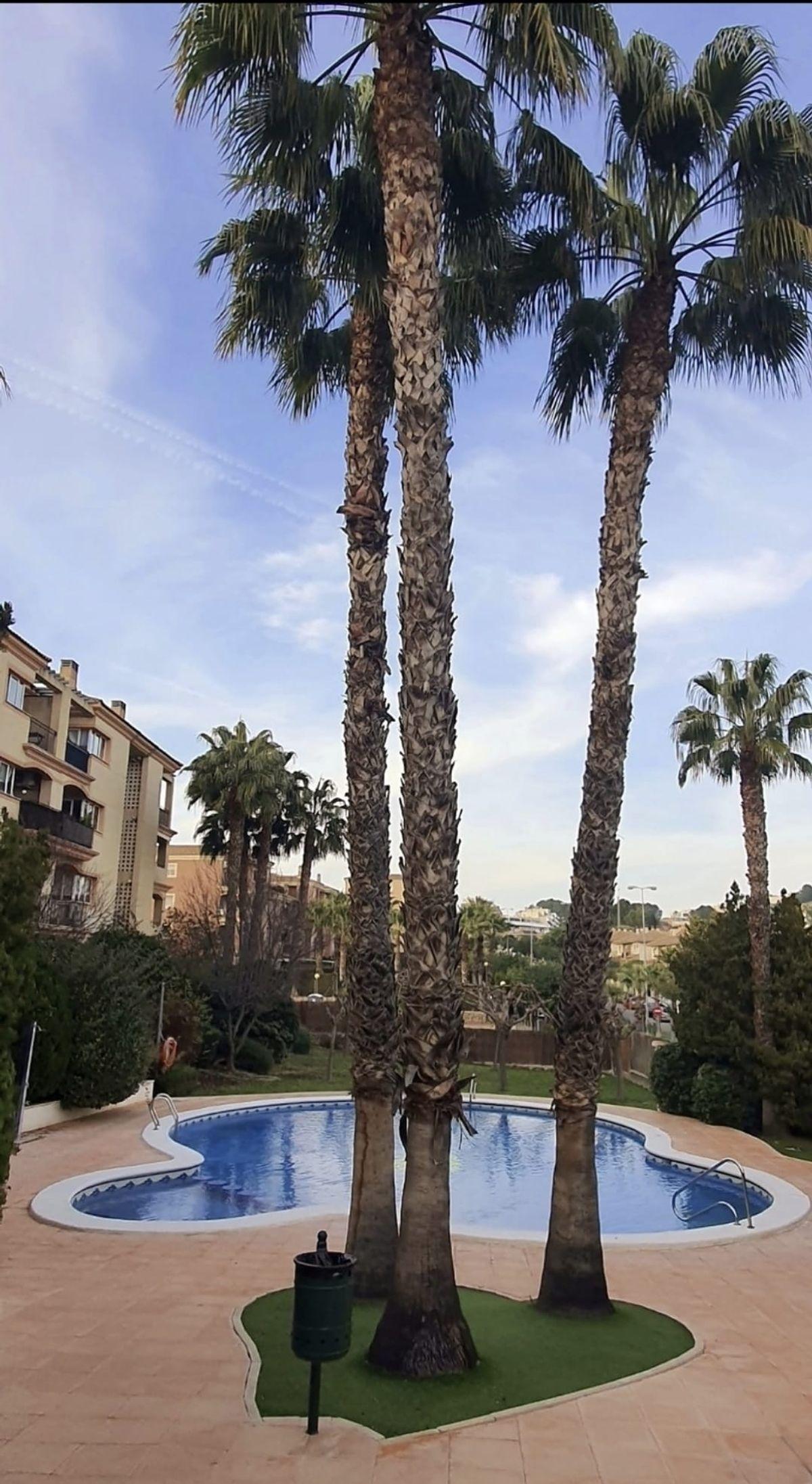 Piso en Venta en Avenida del Golf - 17