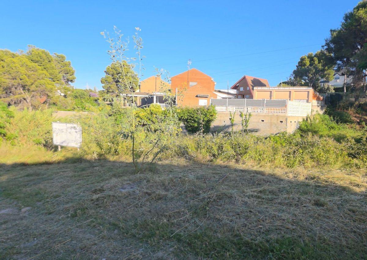 Parcela en Venta - Santa Apolonia - 3