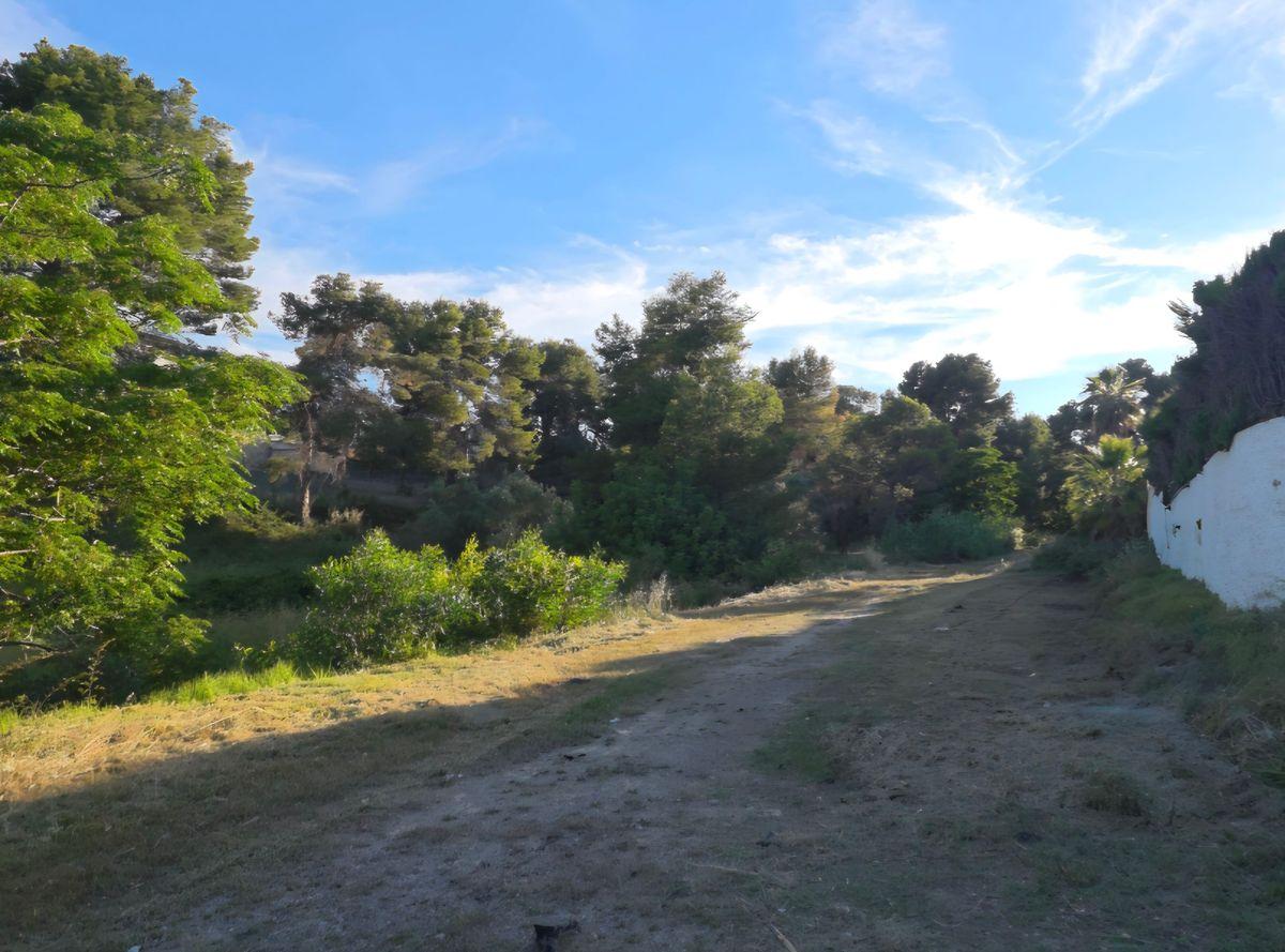 Parcela en Venta - Santa Apolonia - 2