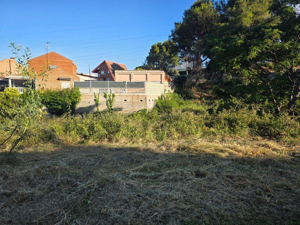 Parcela en Venta - Santa Apolonia - 1