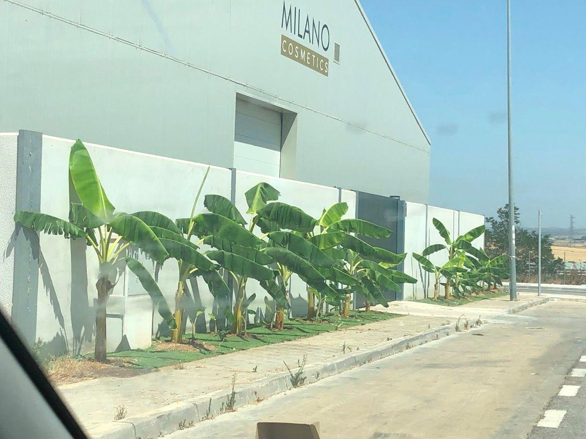 Warehouse en Venta en Calle Baleares - 7
