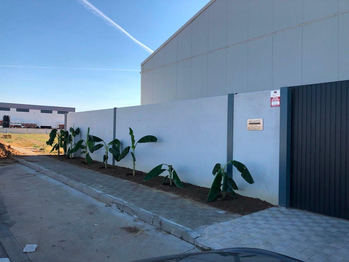 Warehouse en Venta en Calle Baleares - 1