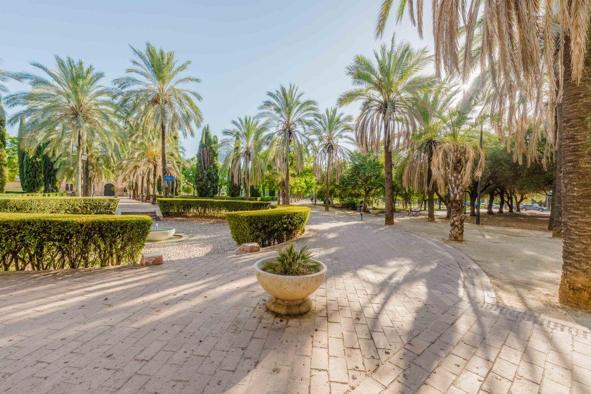 Piso en Venta en Calle Grupo Oscar Carvallo - 36