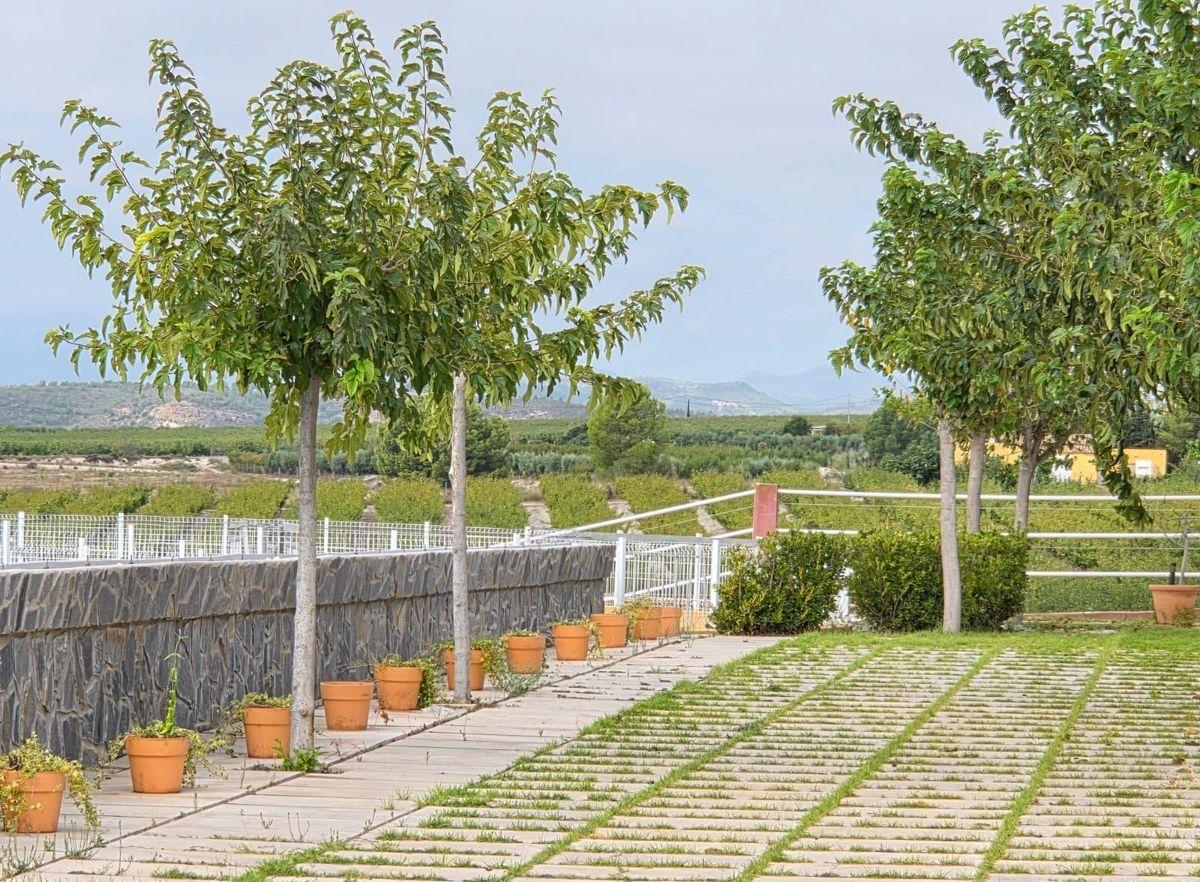 Parcela en Venta en RM-714 - 3