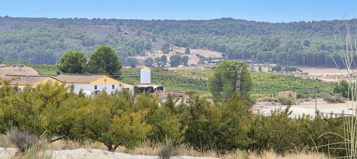 Parcela en Venta en RM-714 - 9
