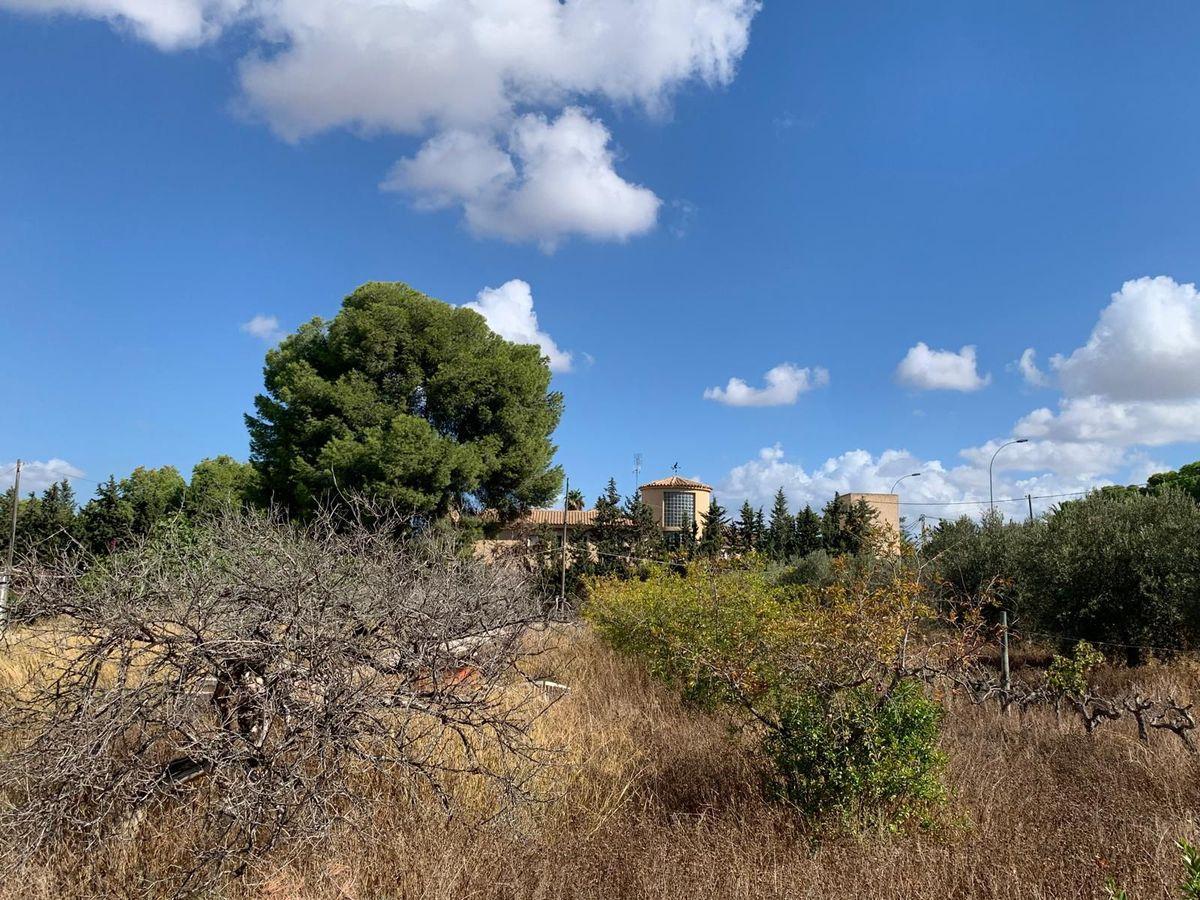 Terreno Residencial en Venta en C. Azahar - 10