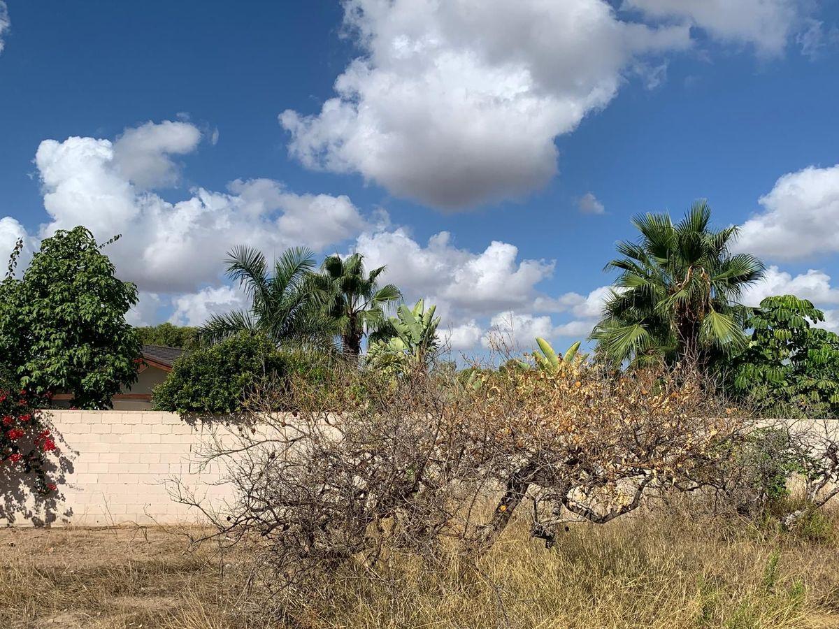 Terreno Residencial en Venta en C. Azahar - 7