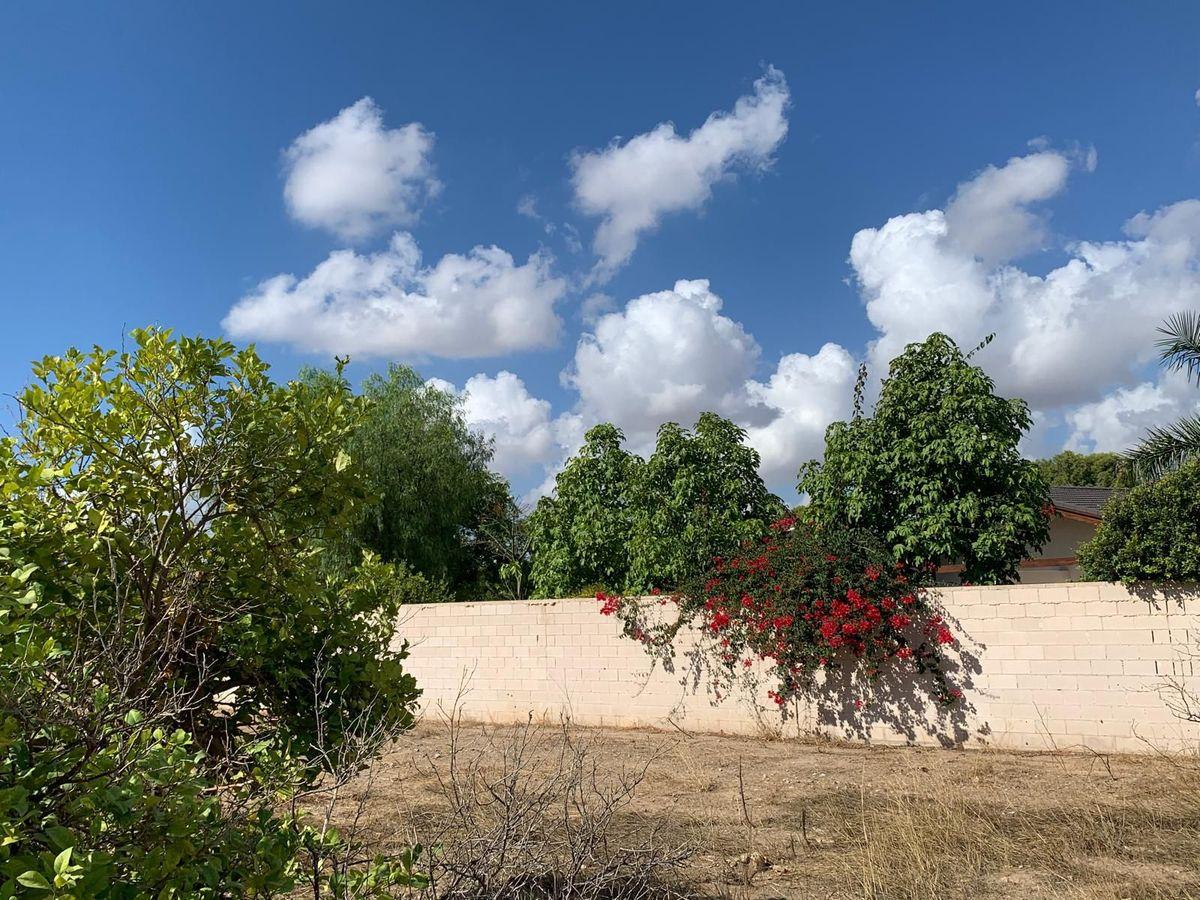Terreno Residencial en Venta en C. Azahar - 9
