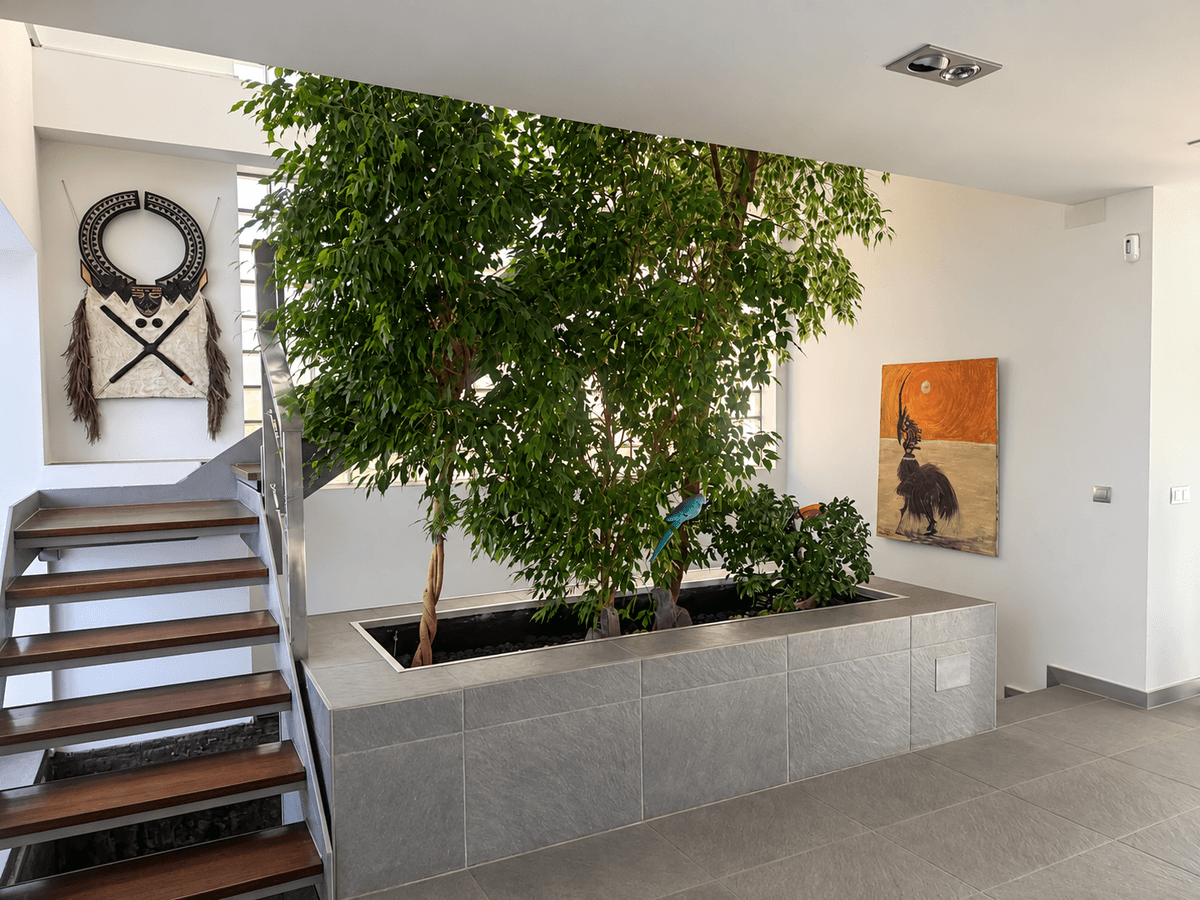 Casa en Venta en Castilla-La Mancha - 29