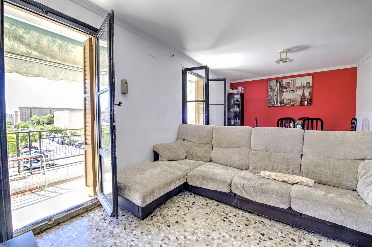 Piso en Venta en Calle del Pino Santo - 6
