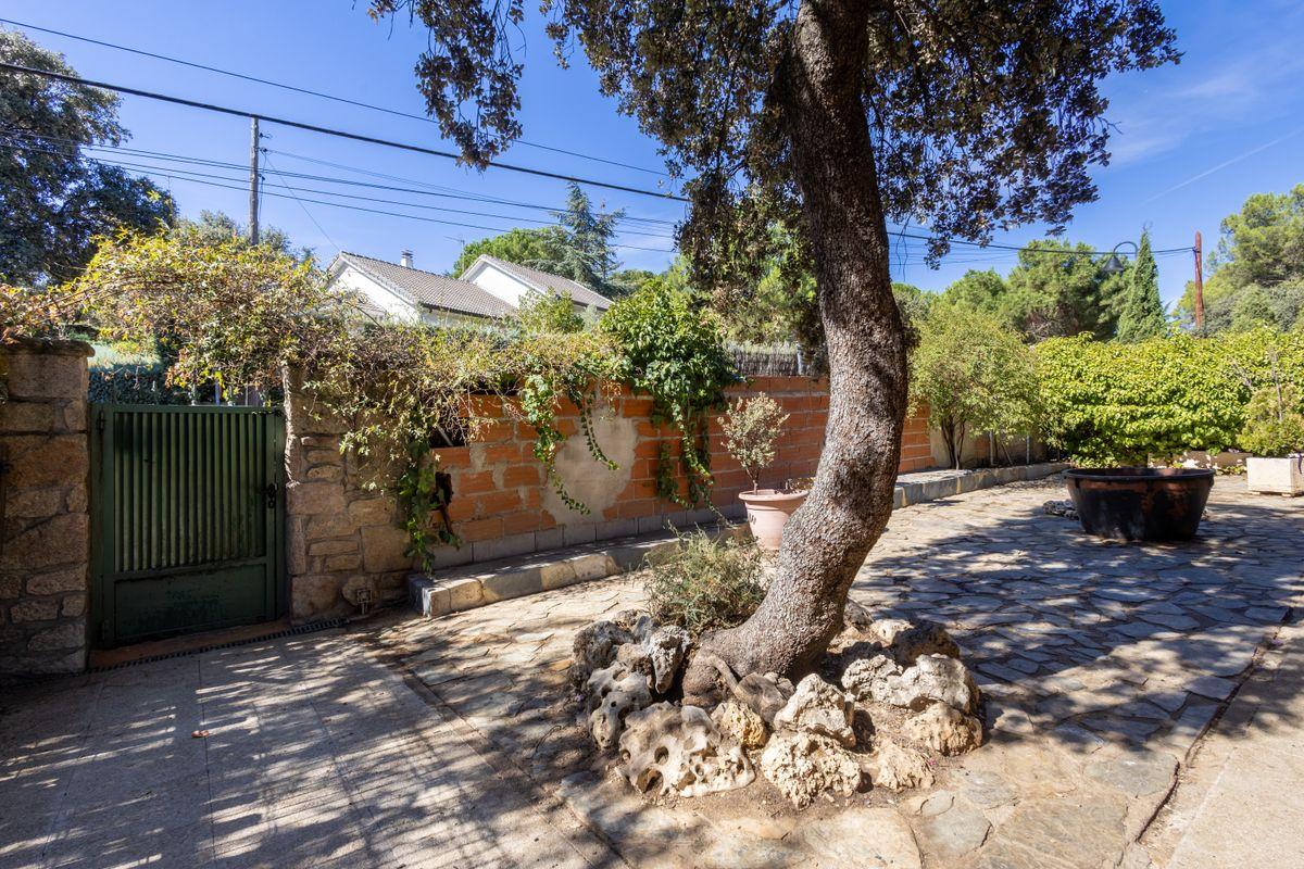 Casa en Venta en Calle de la Codorniz - 24