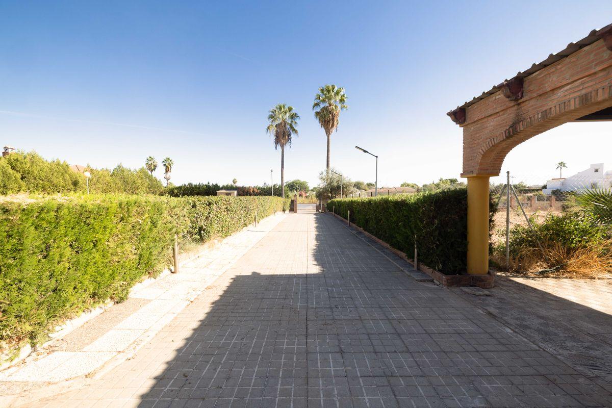 Casa en Venta en Calle Carlos Cano - 47
