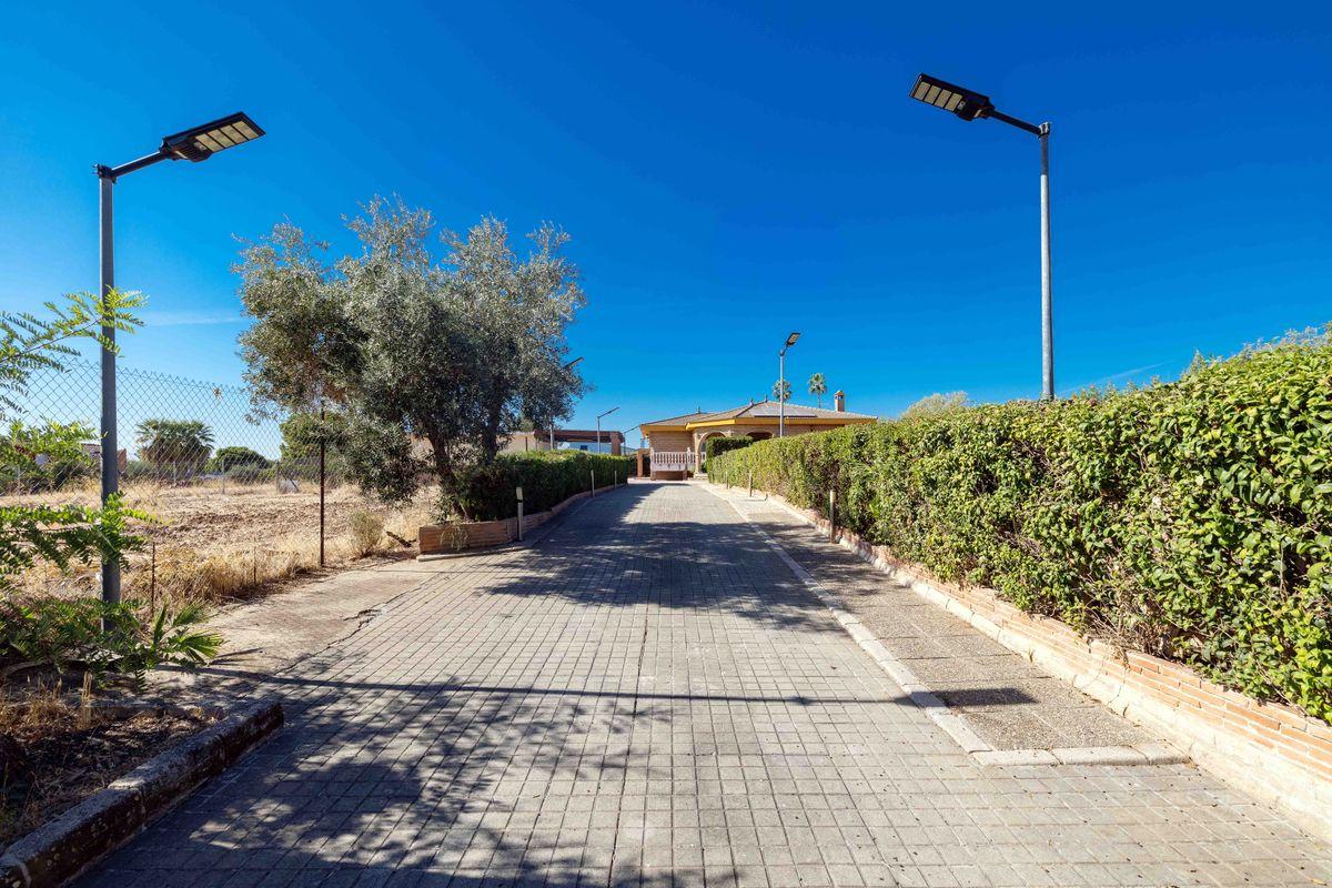 Casa en Venta en Calle Carlos Cano - 48