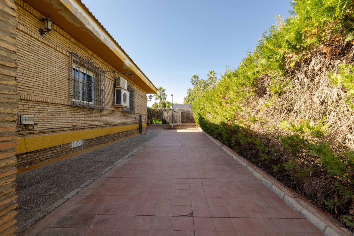 Casa en Venta en Calle Carlos Cano - 44