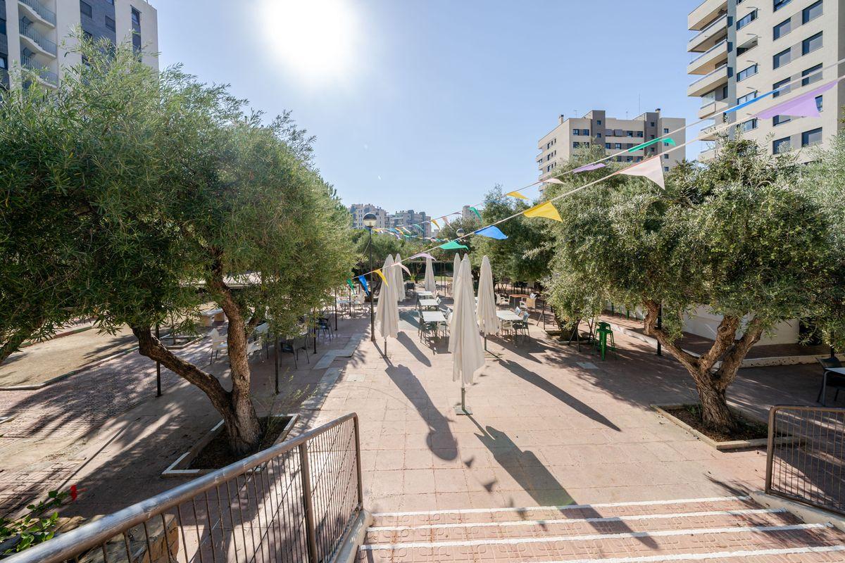 Piso en Venta en PAU 5 - 31