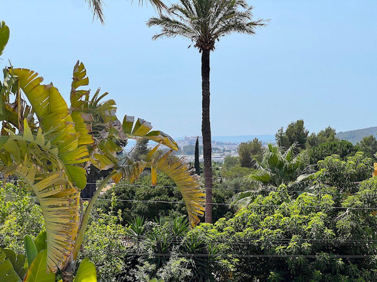 House en Venta en Sant Rafel de sa Creu - 15