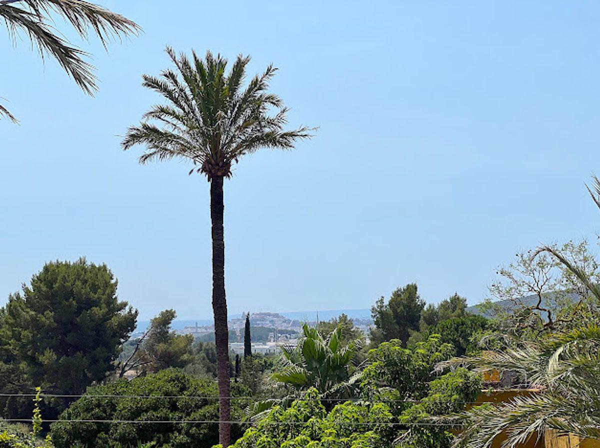 House en Venta en Sant Rafel de sa Creu - 14
