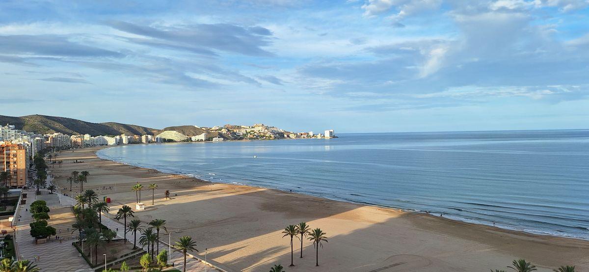 Piso en Venta en Avinguda Alacant - 1