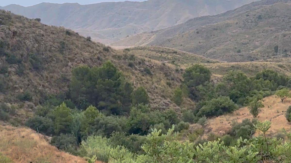 Parcela Comercial en Venta en Lugar los Estrechos - 31