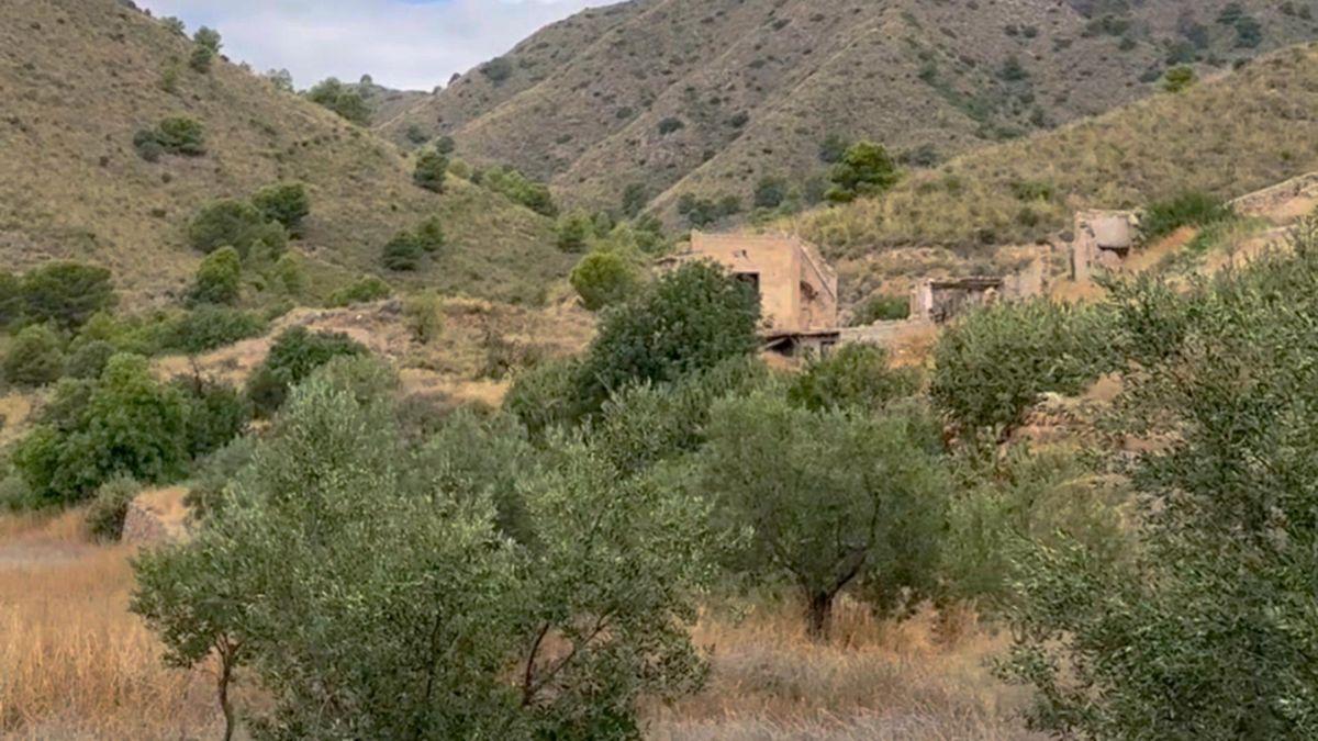 Parcela Comercial en Venta en Lugar los Estrechos - 20
