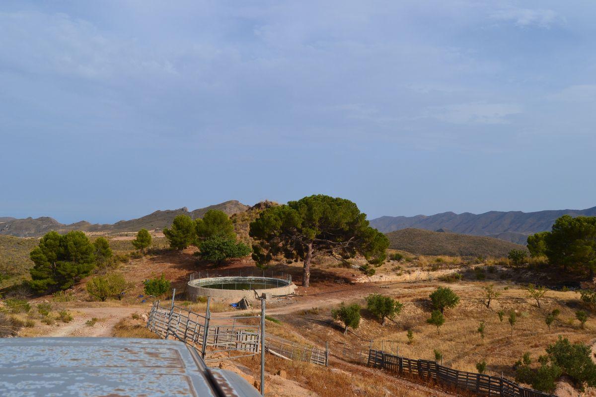 Parcela Comercial en Venta en Lugar los Estrechos - 3