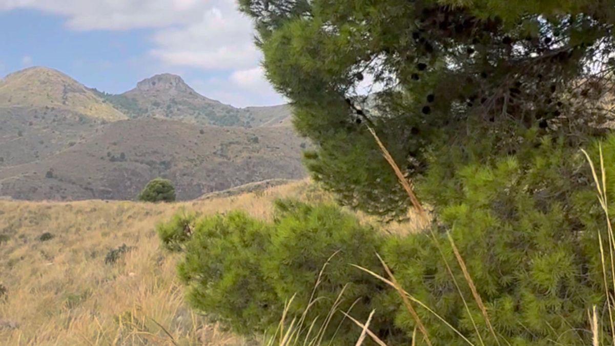 Parcela Comercial en Venta en Lugar los Estrechos - 13