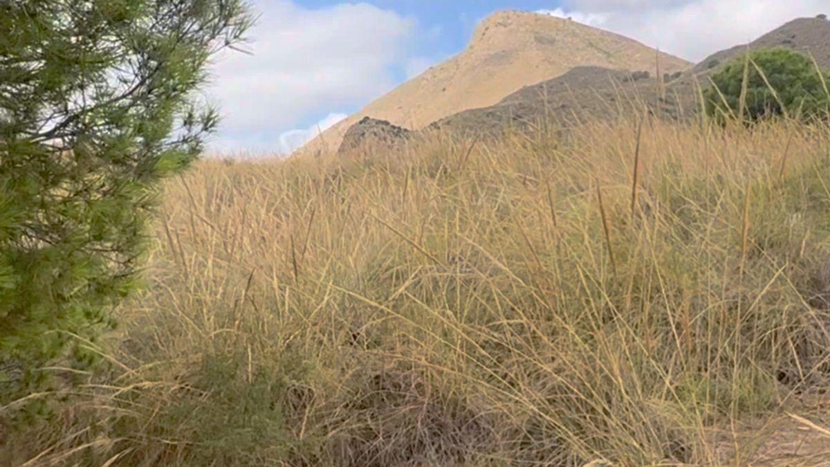 Parcela Comercial en Venta en Lugar los Estrechos - 14