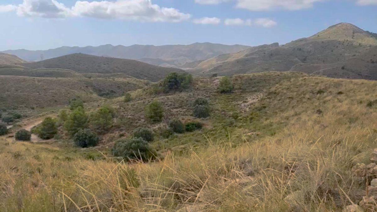 Parcela Comercial en Venta en Lugar los Estrechos - 12
