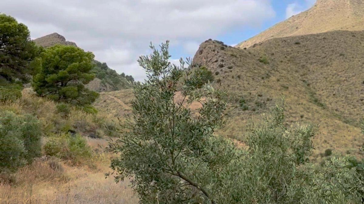 Parcela Comercial en Venta en Lugar los Estrechos - 21