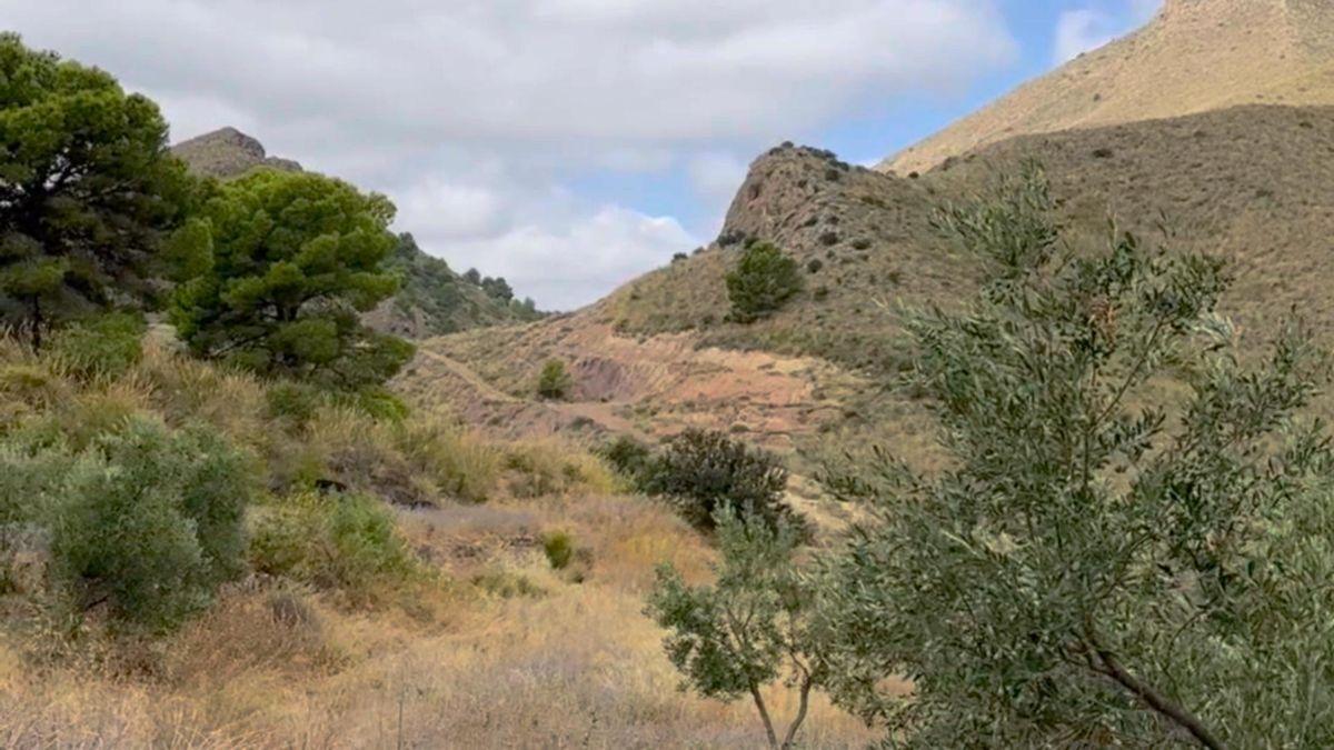 Parcela Comercial en Venta en Lugar los Estrechos - 22