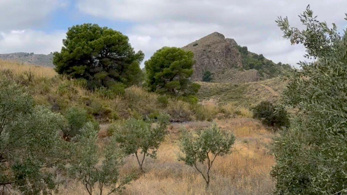 Parcela Comercial en Venta en Lugar los Estrechos - 19