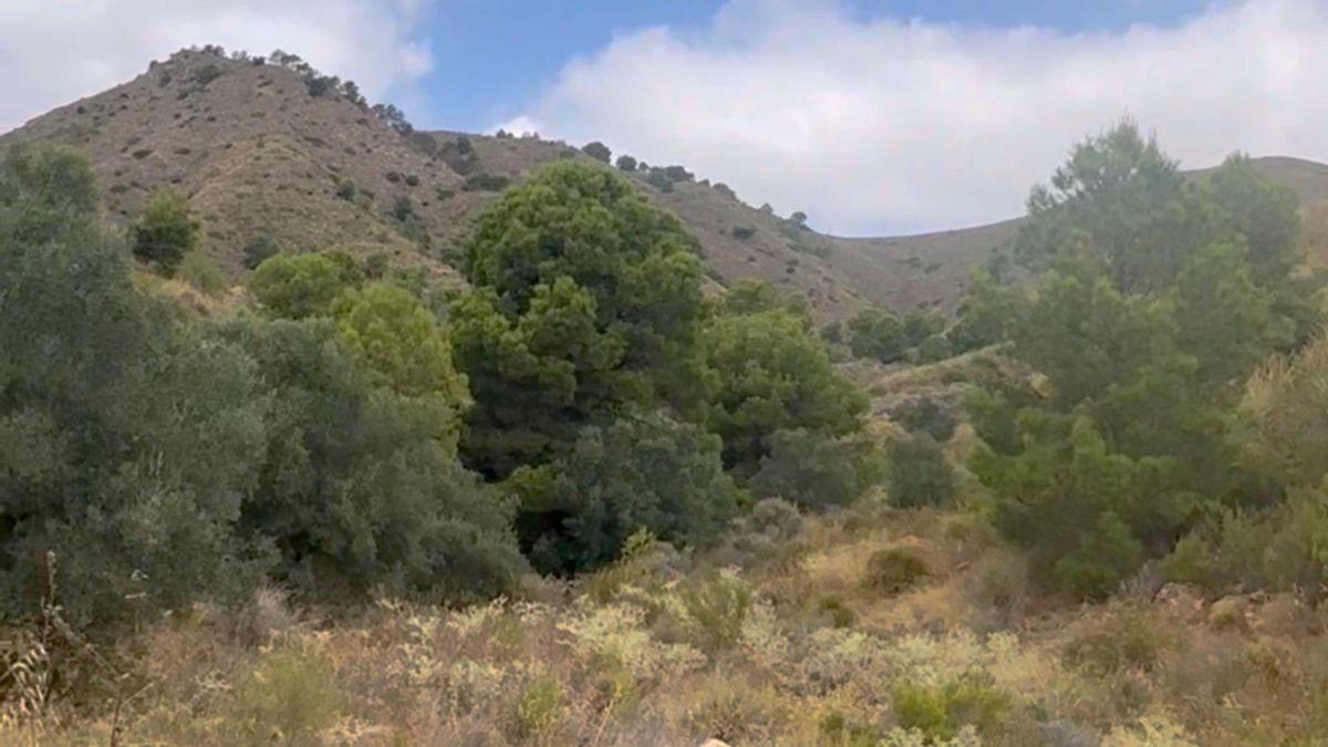 Parcela Comercial en Venta en Lugar los Estrechos - 35
