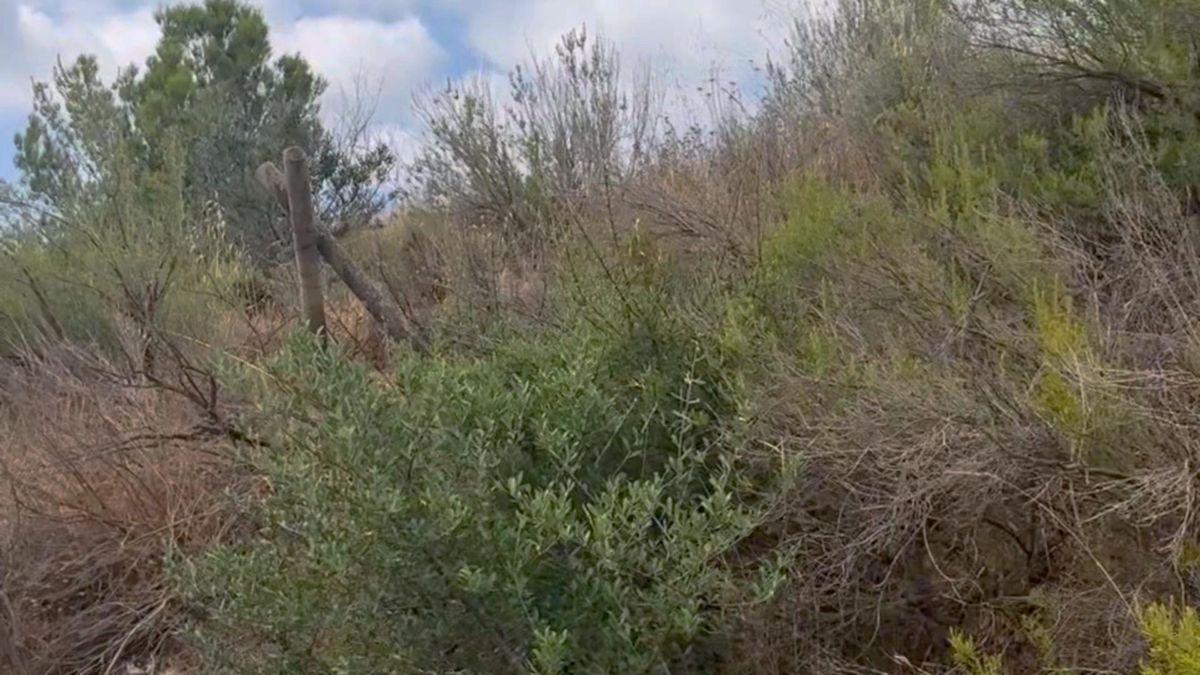 Parcela Comercial en Venta en Lugar los Estrechos - 42