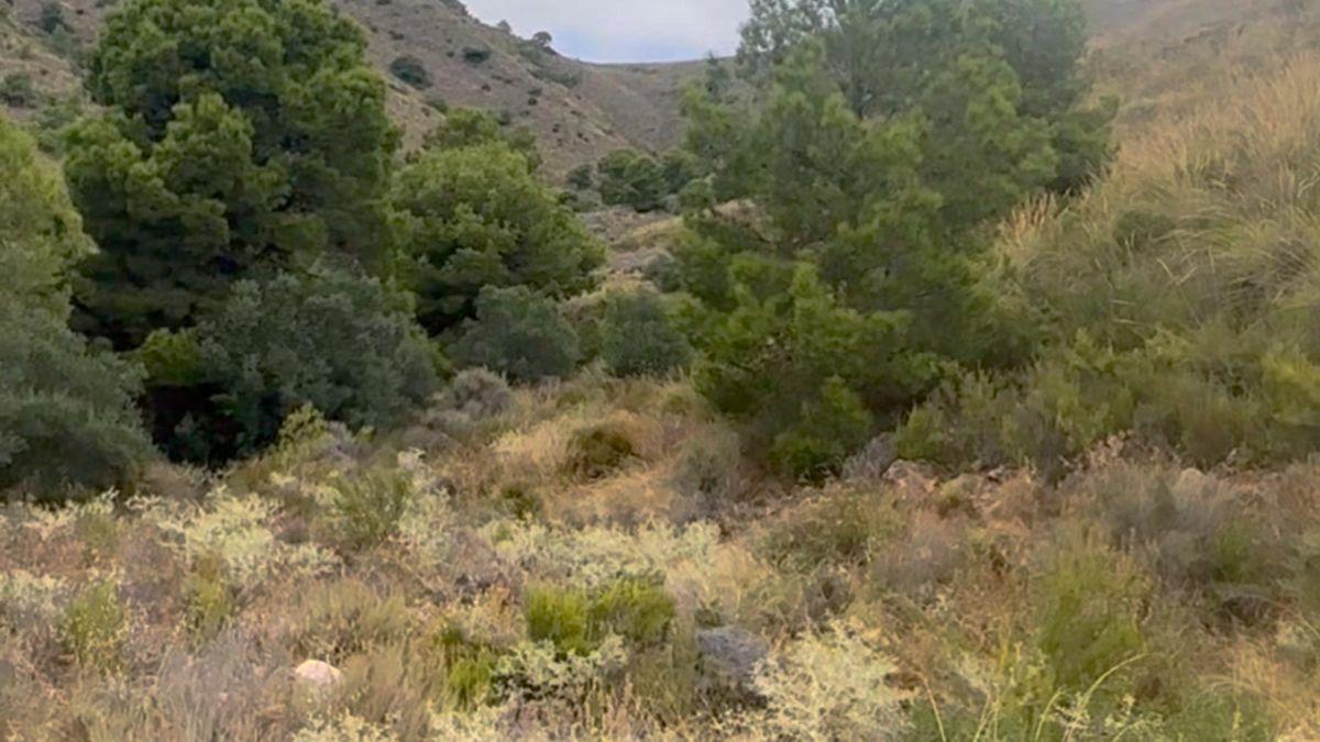 Parcela Comercial en Venta en Lugar los Estrechos - 32