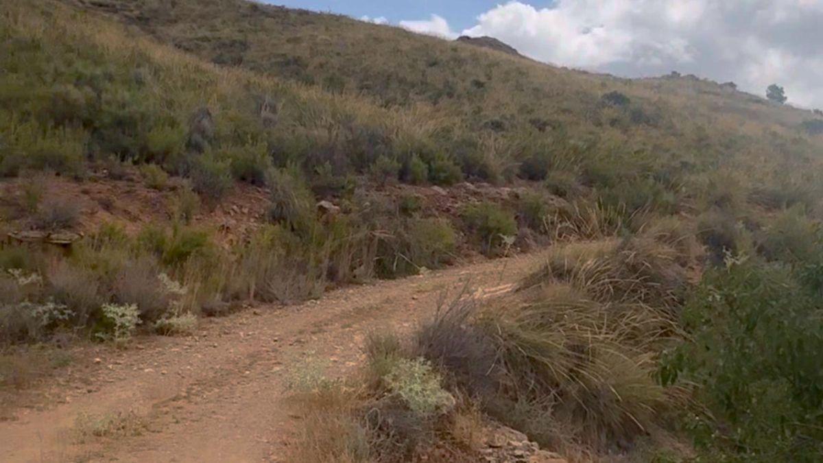 Parcela Comercial en Venta en Lugar los Estrechos - 34
