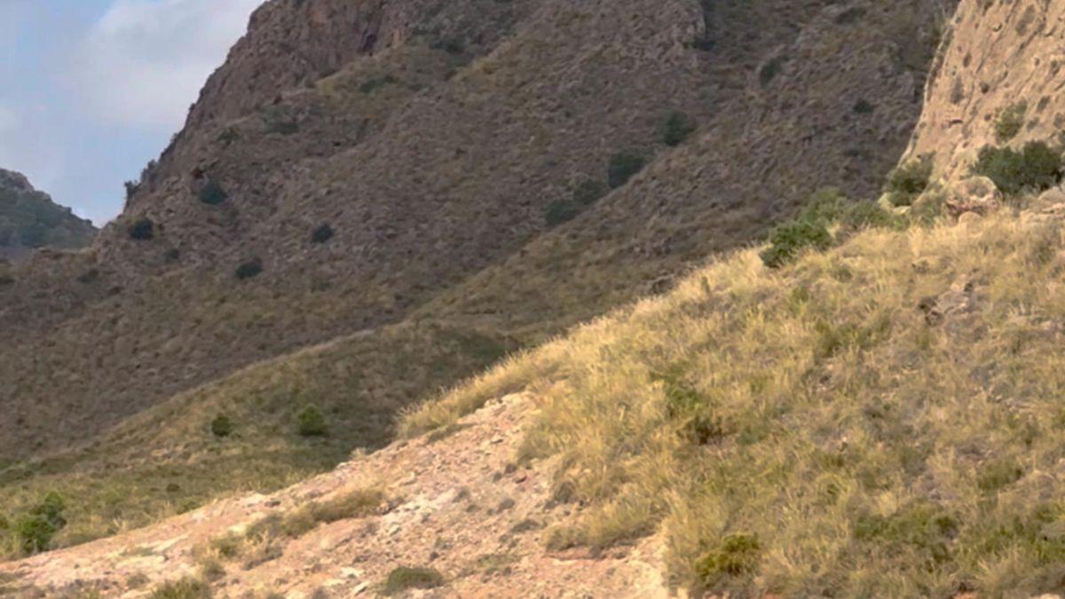 Parcela Comercial en Venta en Lugar los Estrechos - 46