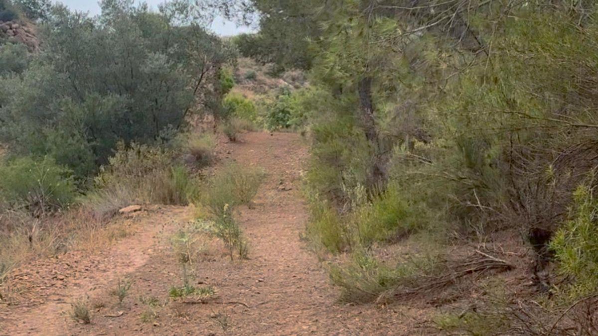 Parcela Comercial en Venta en Lugar los Estrechos - 38