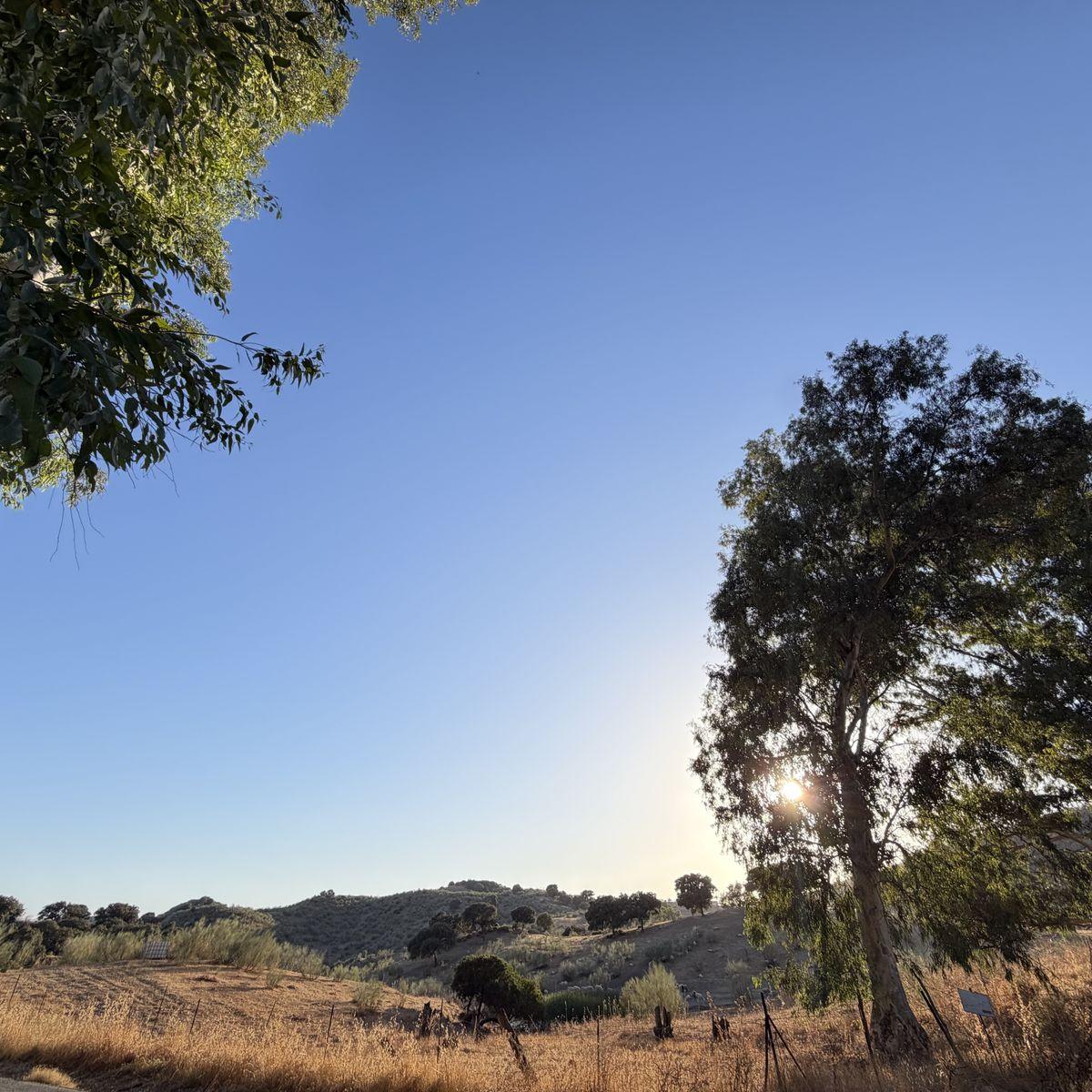 Casa Rural en Venta en Plaza Meneses - 10