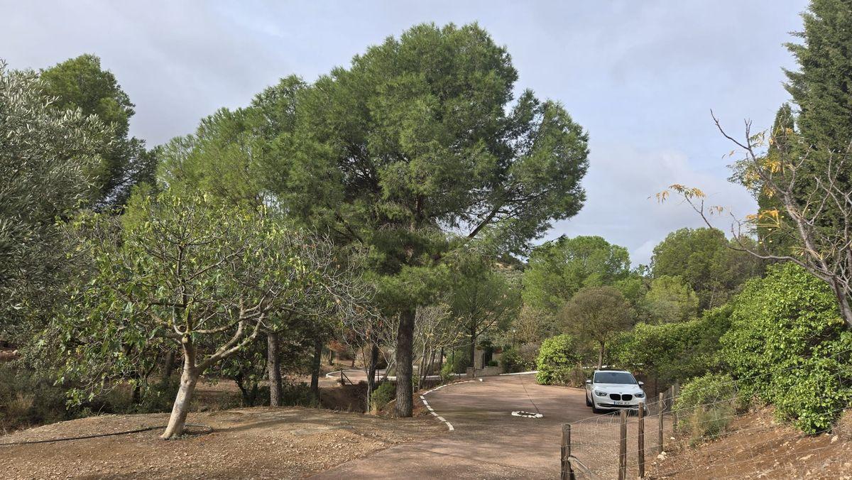 Casa Rural en Venta en Diseminado Poligono 132 - 10