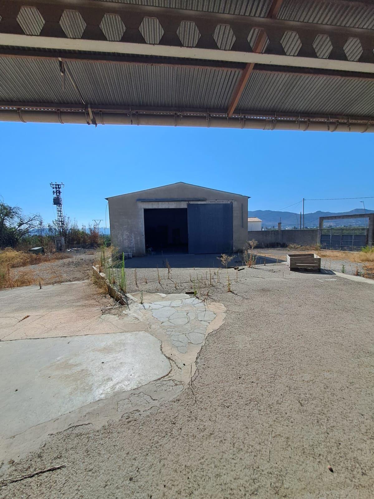 Nave en Venta en Avinguda de Ramon Bataller - 12